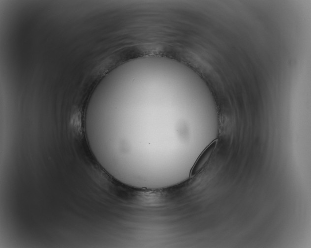 X0000089340238200706291007