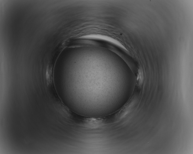 X0000089340239200706291007