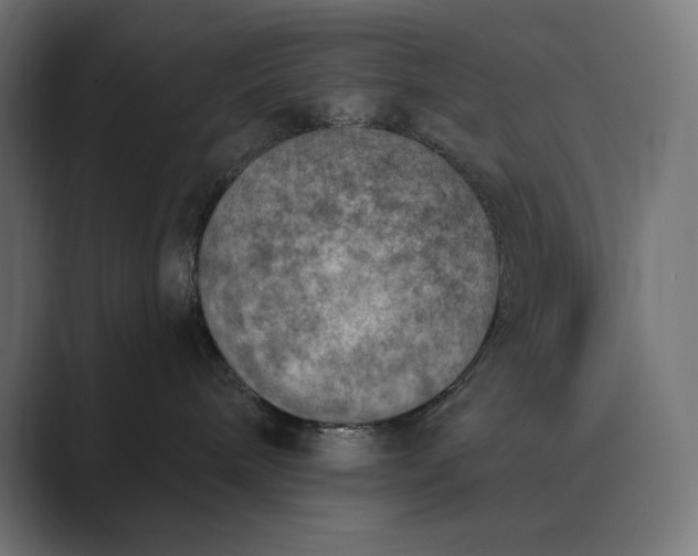 X0000089340240200706291007