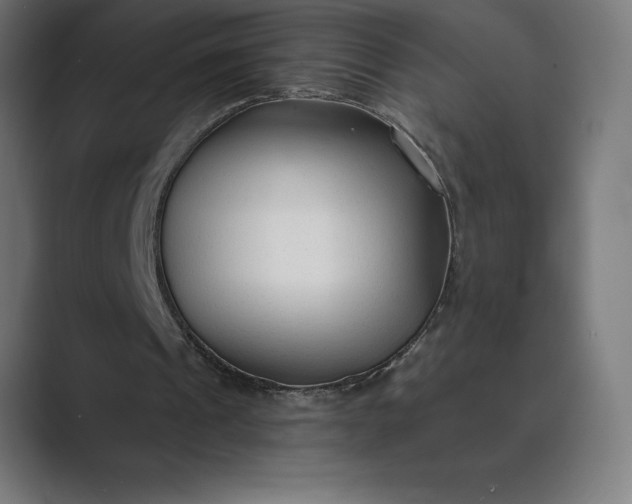 X0000089340241200706291007