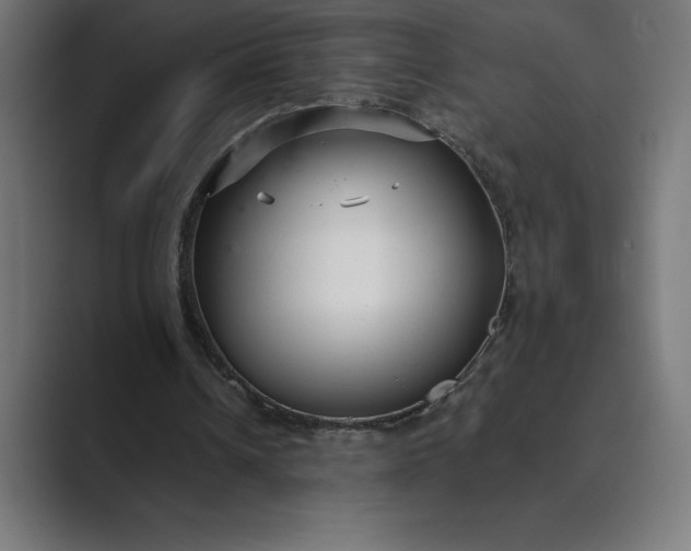 X0000089340242200706291007