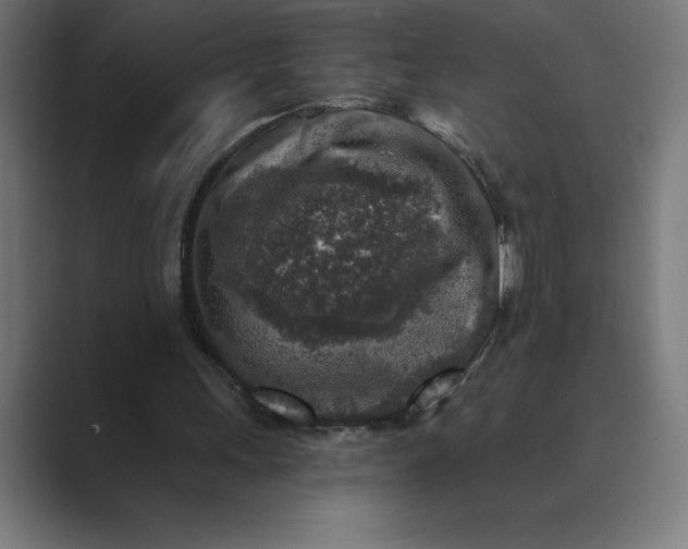 X0000089340243200706291007