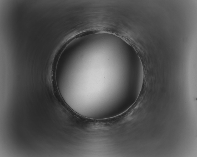 X0000089340244200706291007