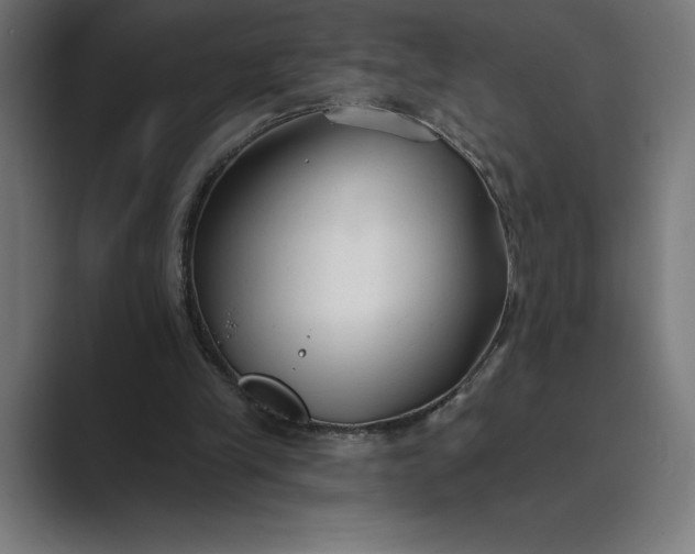 X0000089340245200706291007
