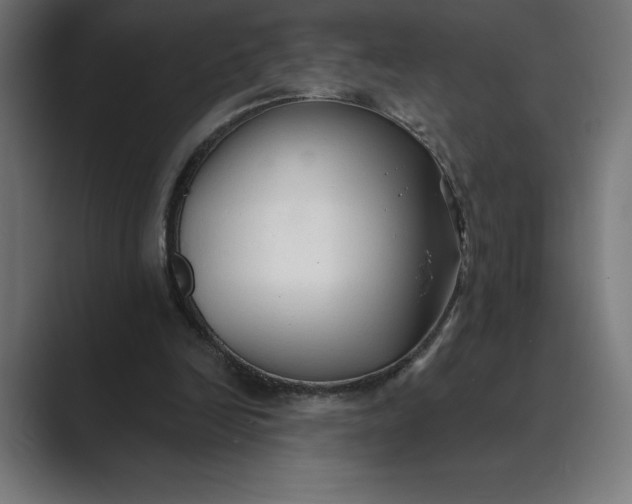 X0000089340246200706291007