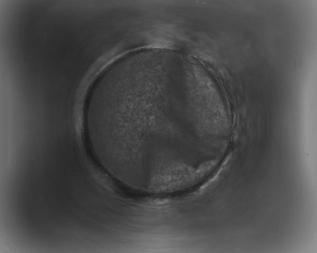 X0000089340247200706291007