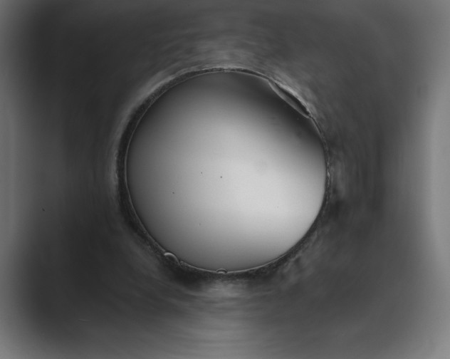 X0000089340248200706291007