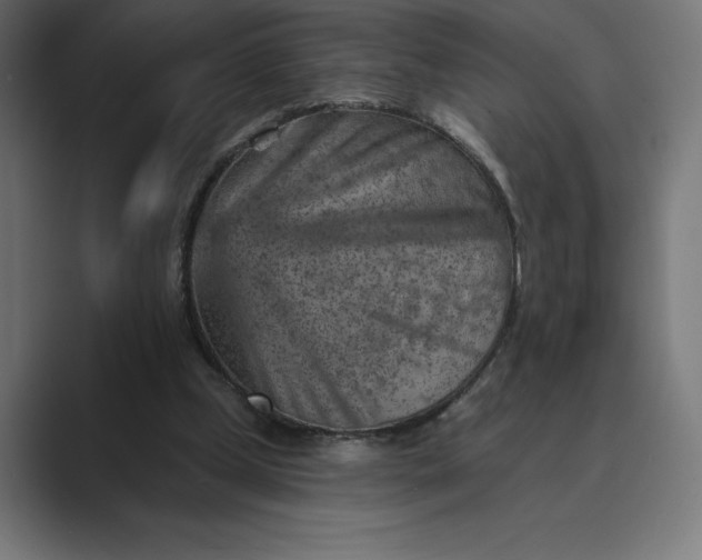 X0000089340249200706291007
