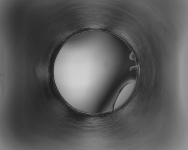X0000089340252200706291007