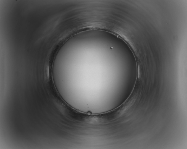 X0000089340253200706291007