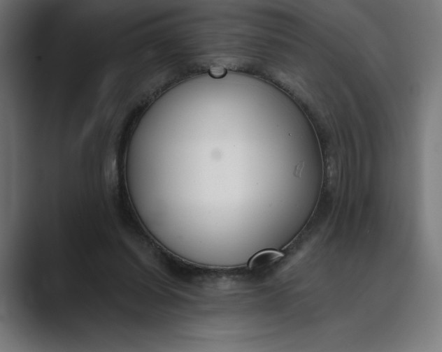 X0000089340254200706291007