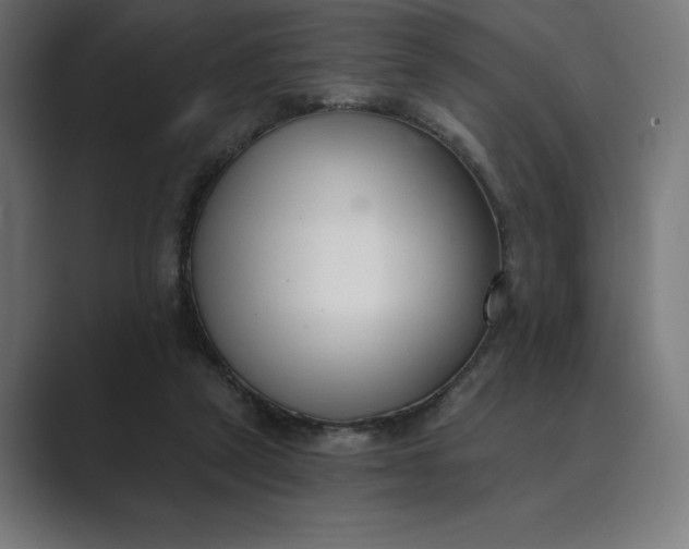 X0000089340257200706291007