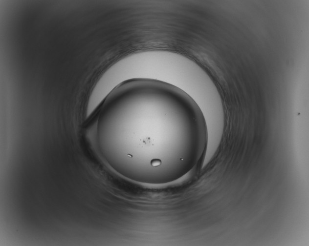 X0000089340260200706291007