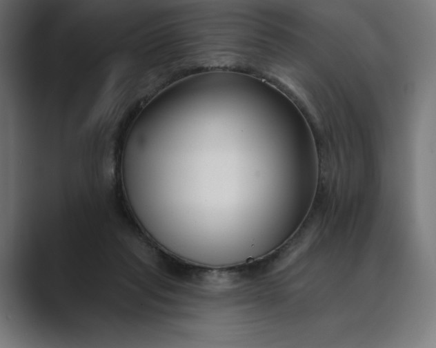X0000089340261200706291007