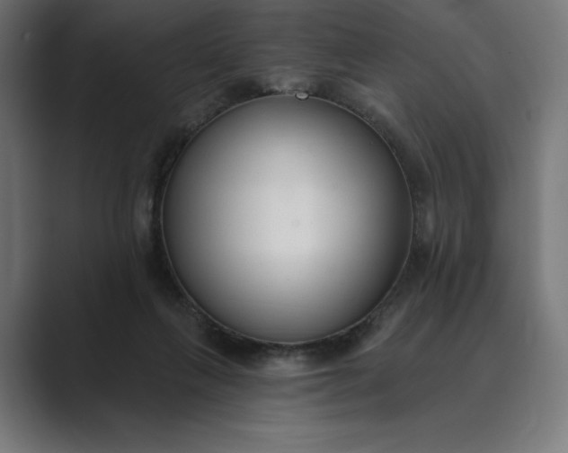 X0000089340263200706291007