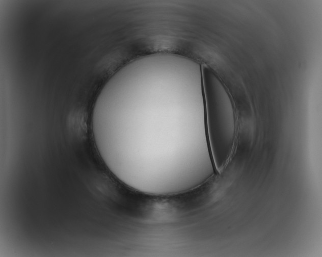 X0000089340264200706291007
