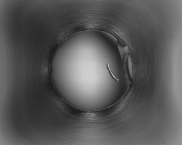 X0000089340265200706291007
