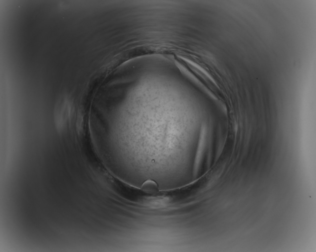 X0000089340266200706291007