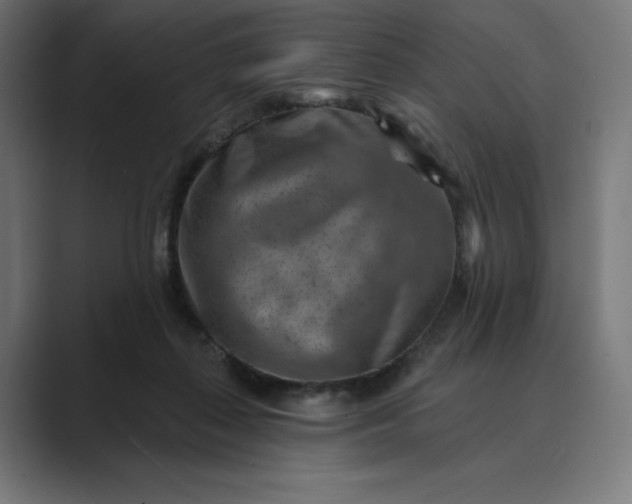 X0000089340267200706291007