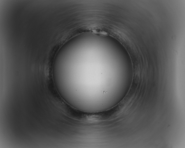 X0000089340268200706291007