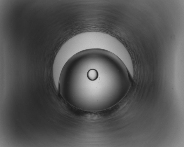 X0000089340272200706291007