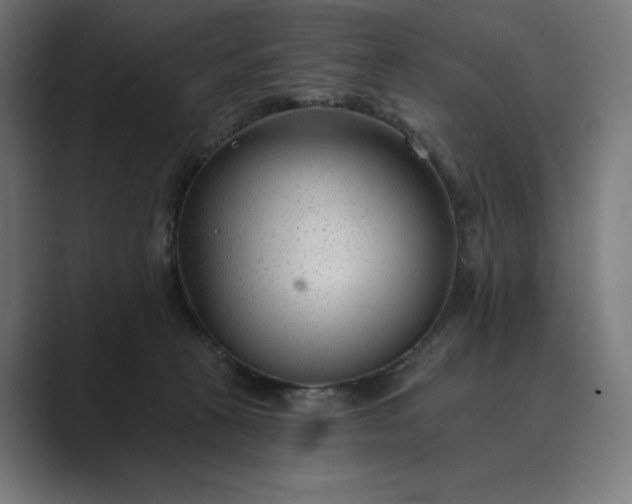 X0000089340273200706291007