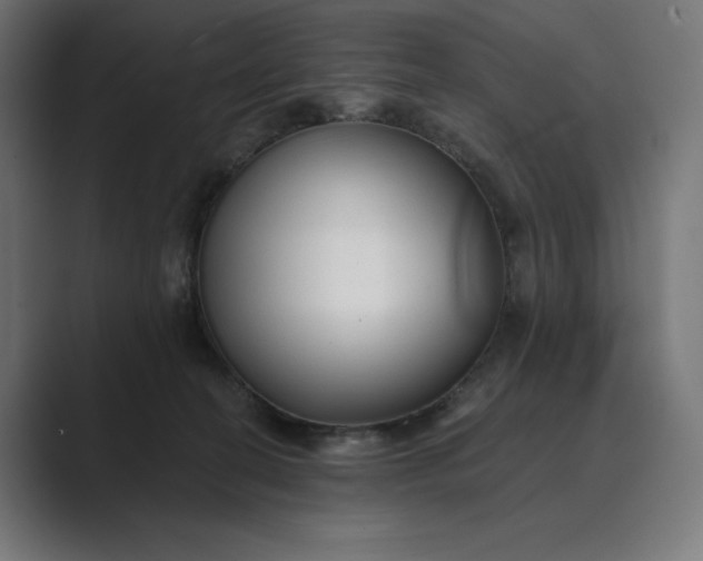 X0000089340274200706291007