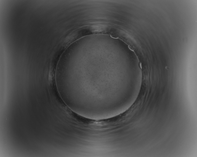 X0000089340277200706291007