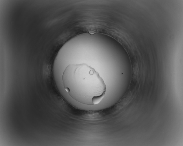 X0000089340278200706291007