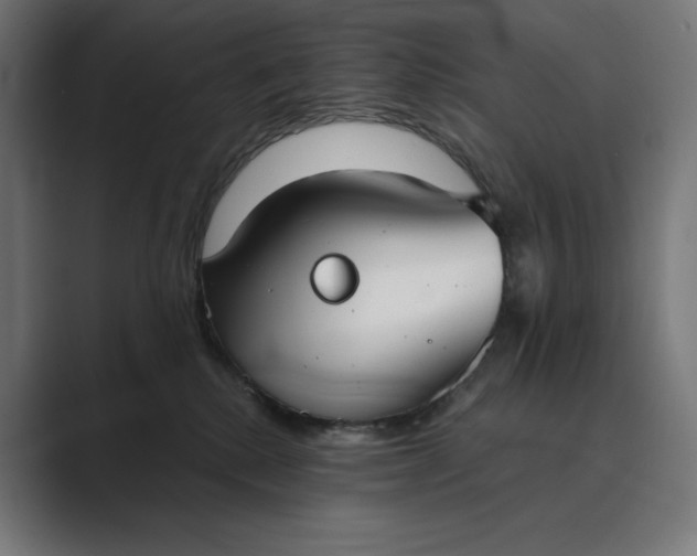 X0000089340280200706291007