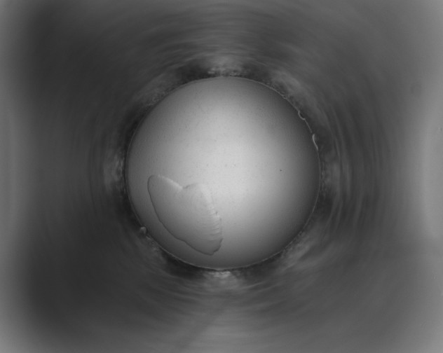 X0000089340281200706291007