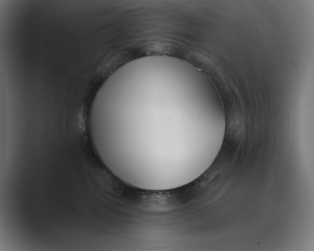 X0000089340282200706291007