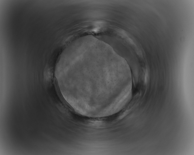 X0000089340284200706291007