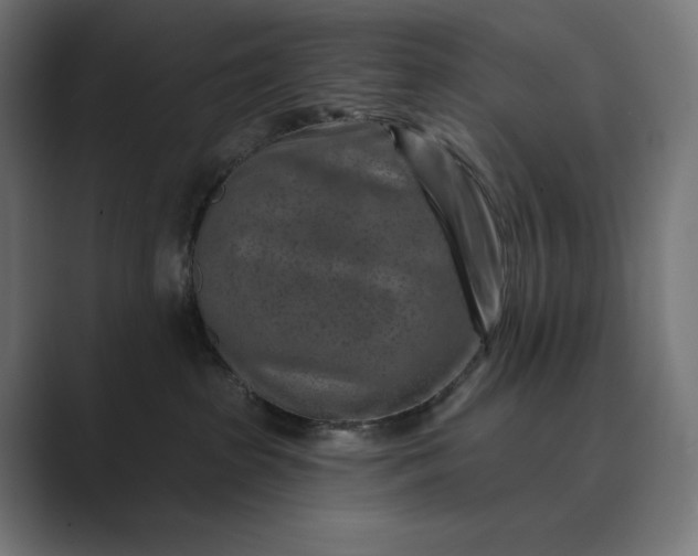X0000089340285200706291007