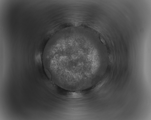 X0000089340286200706291007