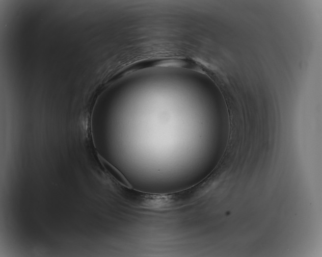 X0000089340288200706291007