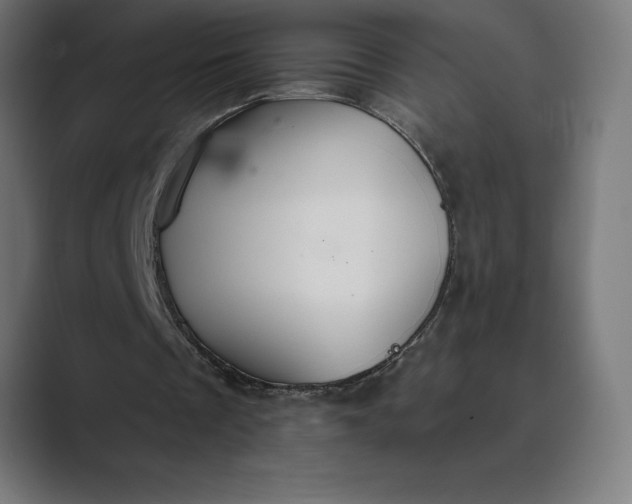 X0000089340289200706291007