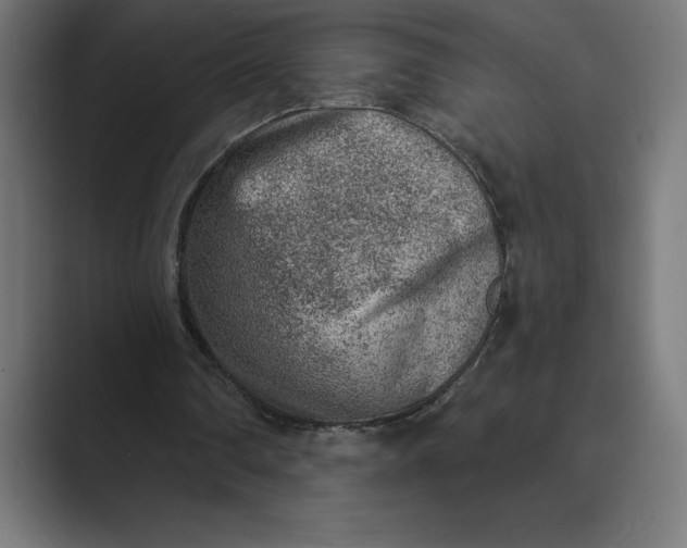 X0000089340290200706291007
