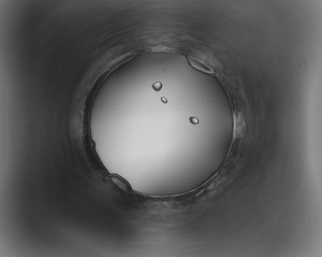 X0000089340291200706291007