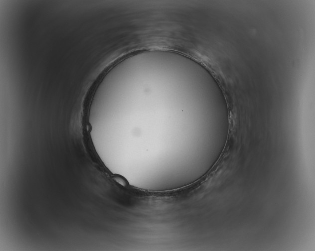 X0000089340292200706291007