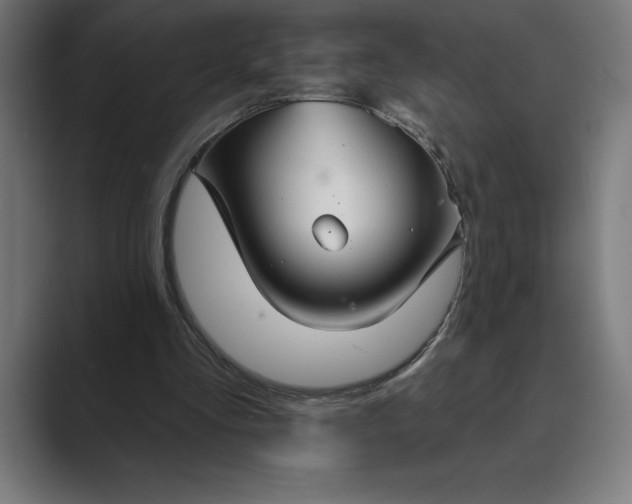 X0000089340293200706291007