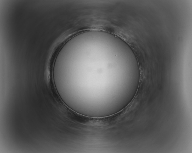 X0000089340294200706291007