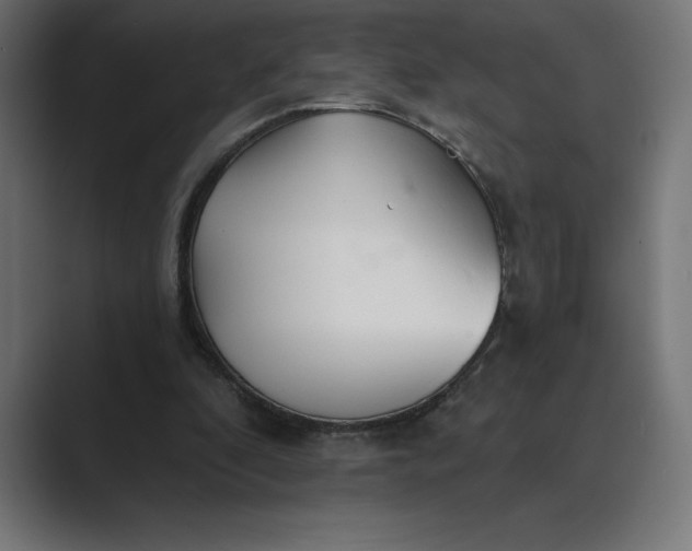 X0000089340296200706291007