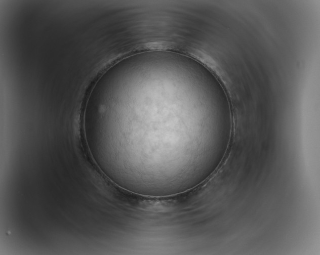 X0000089340297200706291007