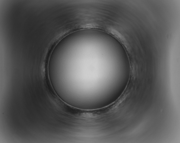 X0000089340298200706291007