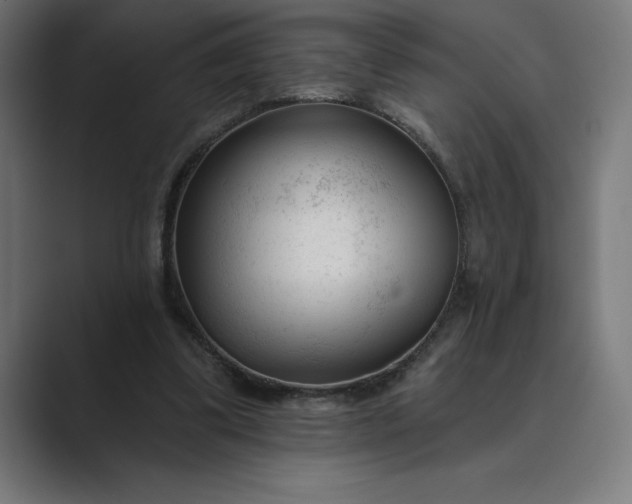 X0000089340299200706291007