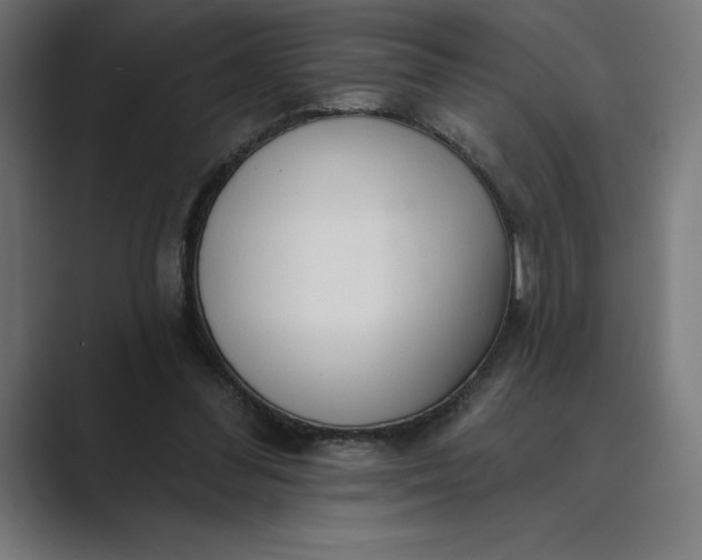 X0000089340300200706291007