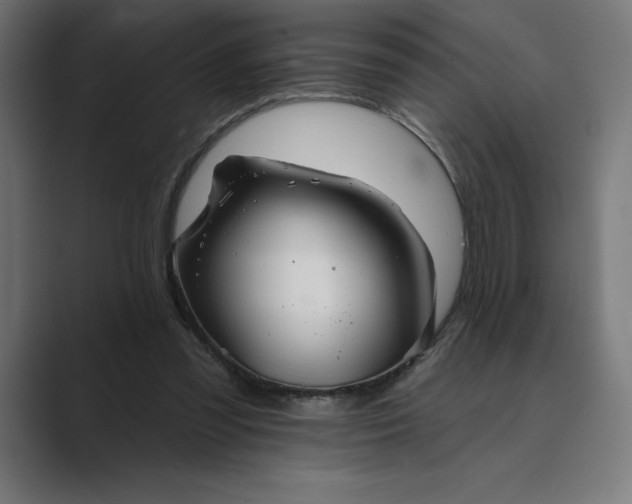X0000089340301200706291007