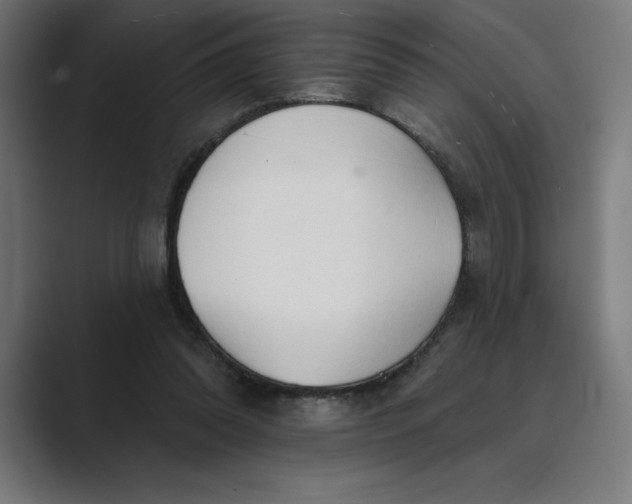 X0000089340302200706291007