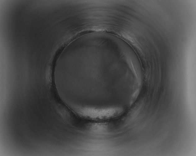 X0000089340303200706291007